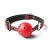 Ball Gag Accessory